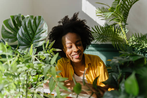 istock Taking care of my plants 1305447541