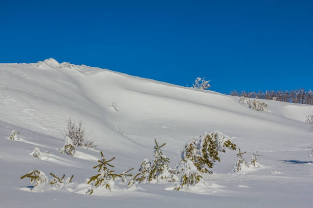 istock bright winter hills landscape 1305447622