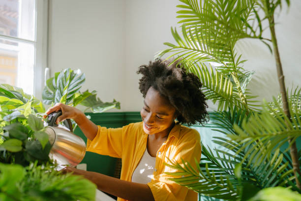istock Taking care of my plants 1305447683