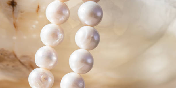 istock Nature white string of pearls on marble background in soft focus, with highlights 1305447728