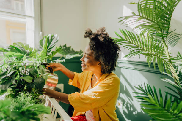 istock Taking care of my plants 1305447800