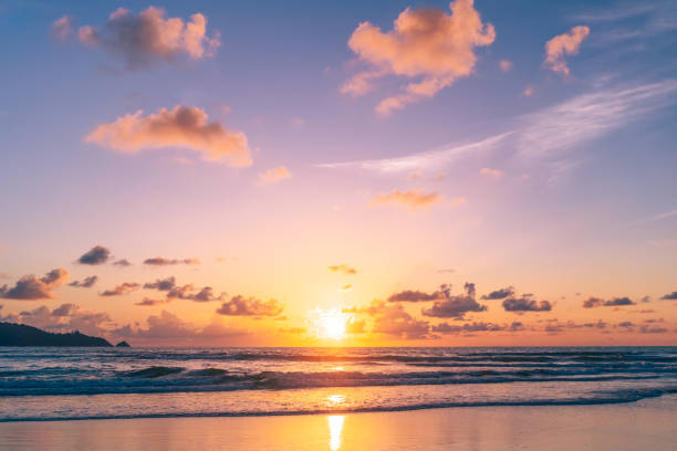 istock Tropical beach with smooth wave and sunset sky abstract background. 1305447807