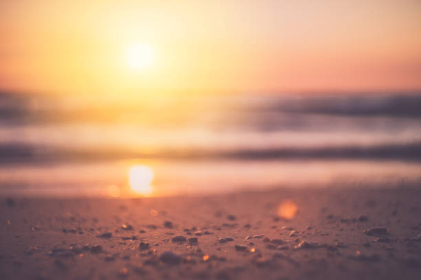 istock Tropical beach with smooth wave and sunset sky abstract background. 1305447819