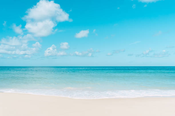 istock Beautiful tropical beach with blue sky and white clouds abstract texture background. 1305447833