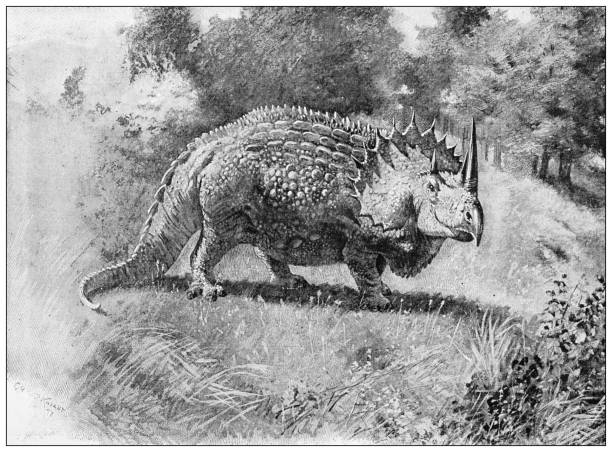 античная иллюстрация: динозавры, агатаумас - illustration and painting geologic time scale old fashioned wildlife stock illustrations