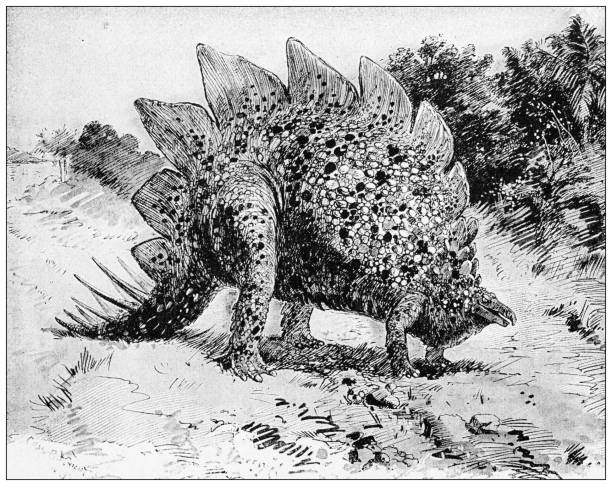 античная иллюстрация: динозавры, стегозавр - illustration and painting geologic time scale old fashioned wildlife stock illustrations