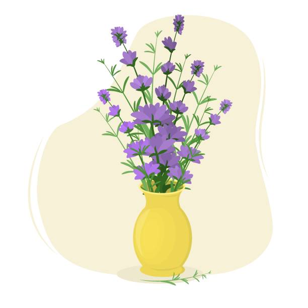 illustrations, cliparts, dessins animés et icônes de illustration vectorielle d’un bouquet de brins violets de lavande. le thème des salutations de printemps et de vacances - flower pot vase purple decor