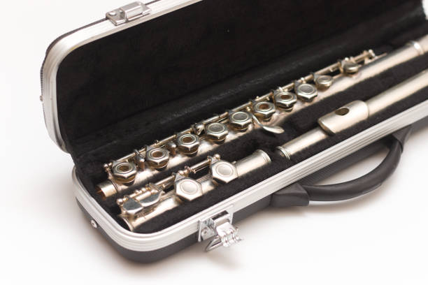 Partial side view of shiny disassembled silver flute in black case against white background