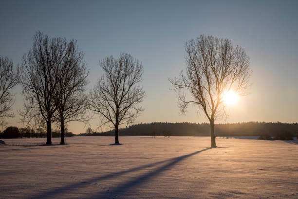winter on the Swabian Alb near Ulm