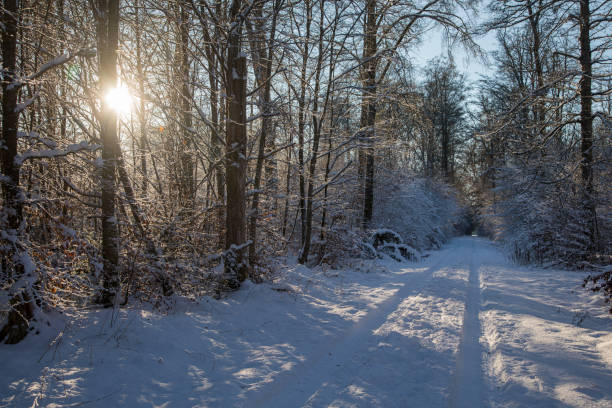 istock winter on the Swabian Alb near Ulm 1305455366