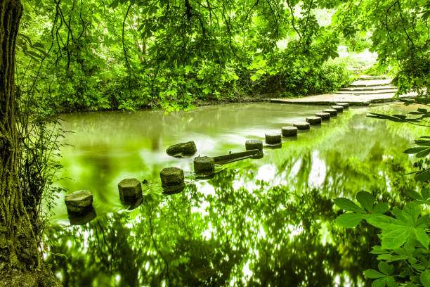 Green landscape with a footpath over the river
