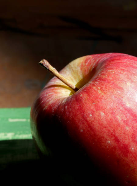 istock close-up of organic and fresh red apple 1305458052