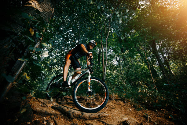 istock Mountain biker riding on bike in nature 1305462916