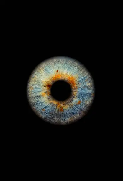 Close up of a blue eye iris on black background