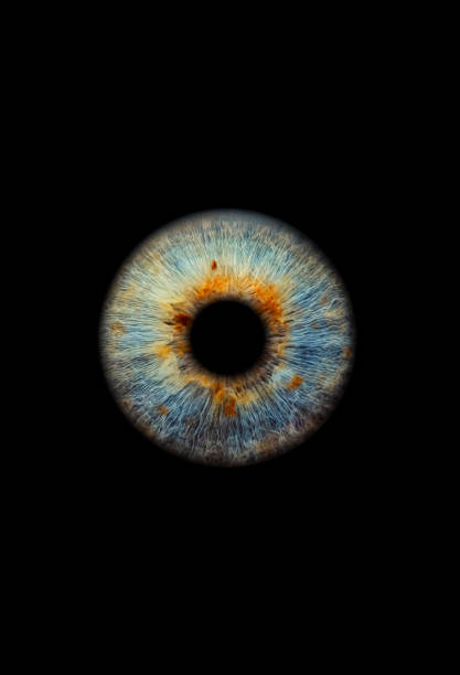 close up of a blue eye iris on black background, macro, photography - close up human eye photography color image imagens e fotografias de stock