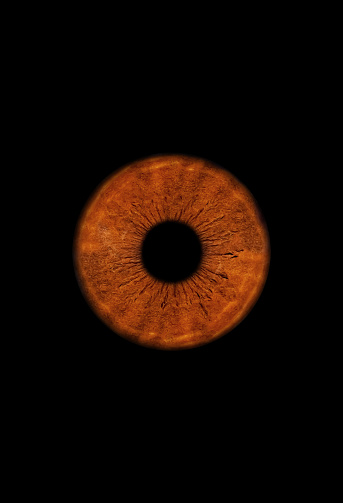 Close up of a brown eye iris on black background