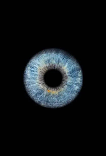 Close up of a blue eye iris on black background