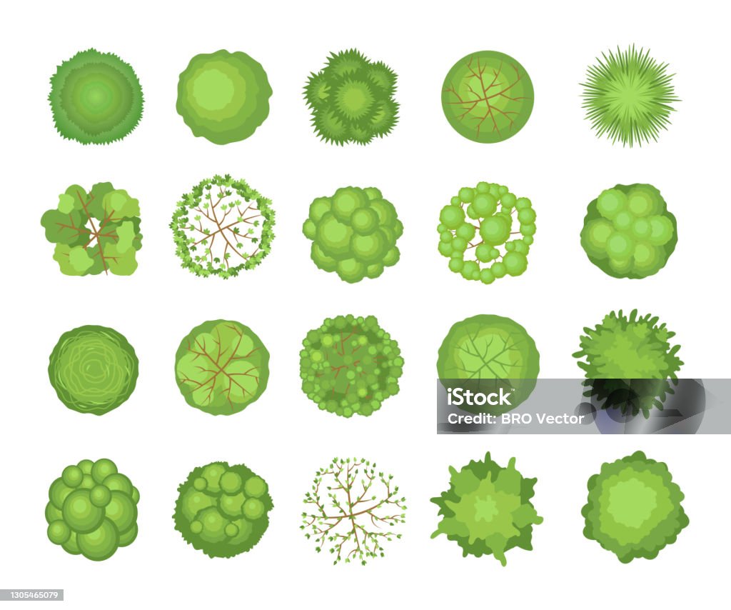 Tree Rown Shapes Tree Crowns Set Stock Illustration - Download Image Now - Tree, Aerial ...