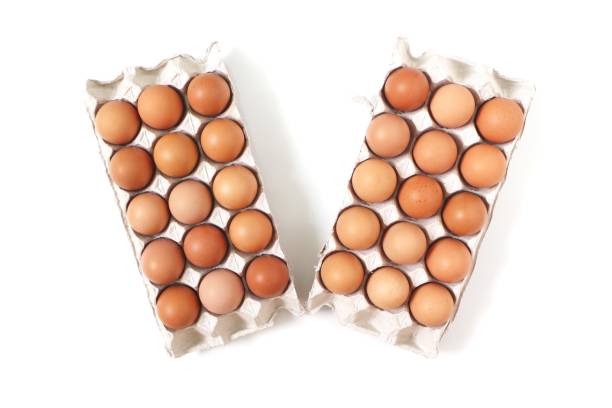 Eggs of chicken in paper tray on white background. Top view. stock photo