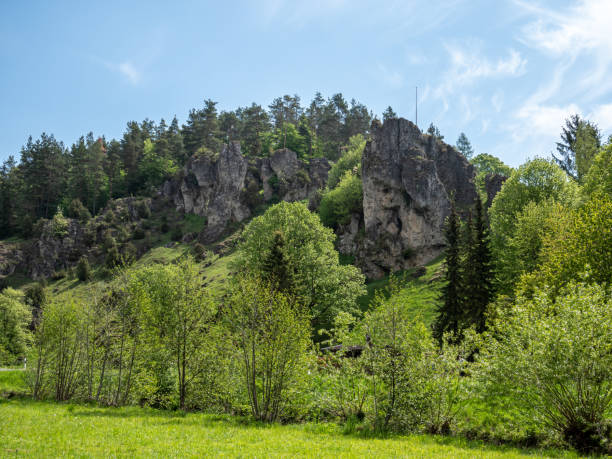 istock Rock formation in Franconian Switzerland 1305466463