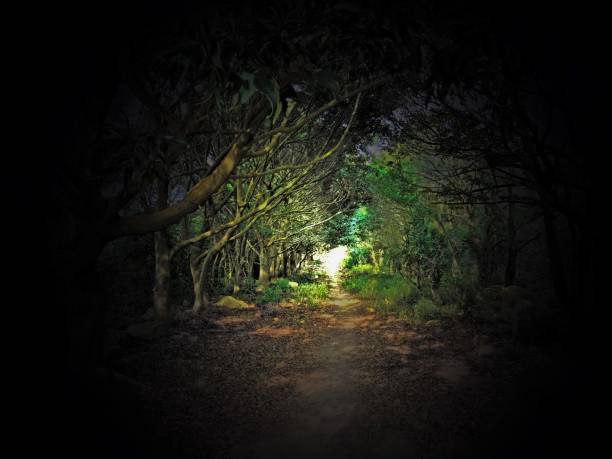 istock A path to a hopeful destination 1305467610