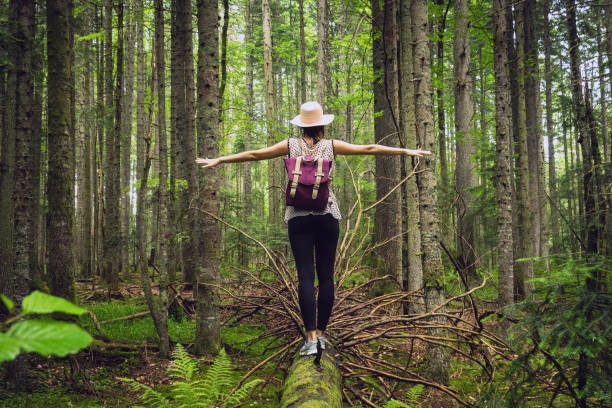 mujer en el bosque - equilibrio fotografías e imágenes de stock