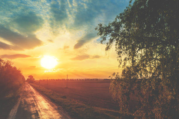 istock Rural landscape in the evening during sunset with beautiful cloudy sky 1305472447