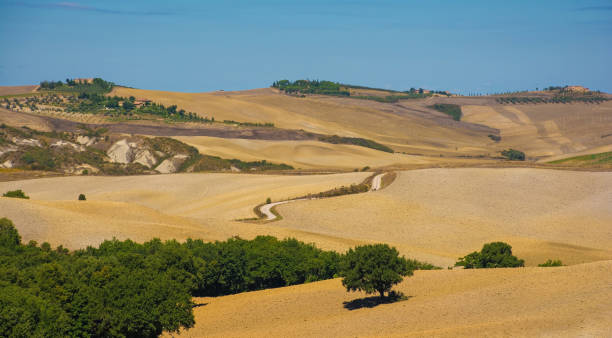 istock Landscape Near San Quirico D'Orcia 1305472664