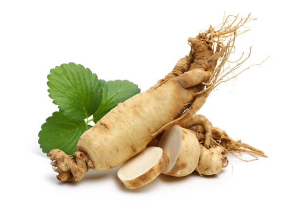 ginseng - ginseng fotografías e imágenes de stock