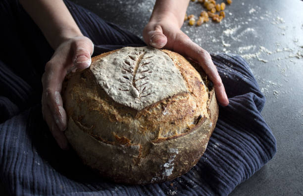 istock Female hands holding round brown bread 1305475227