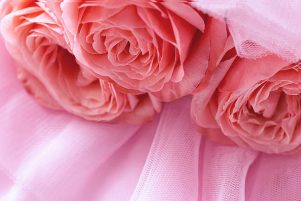 istock Pink roses on pink veil. Abstract background. Top view. 1305475302