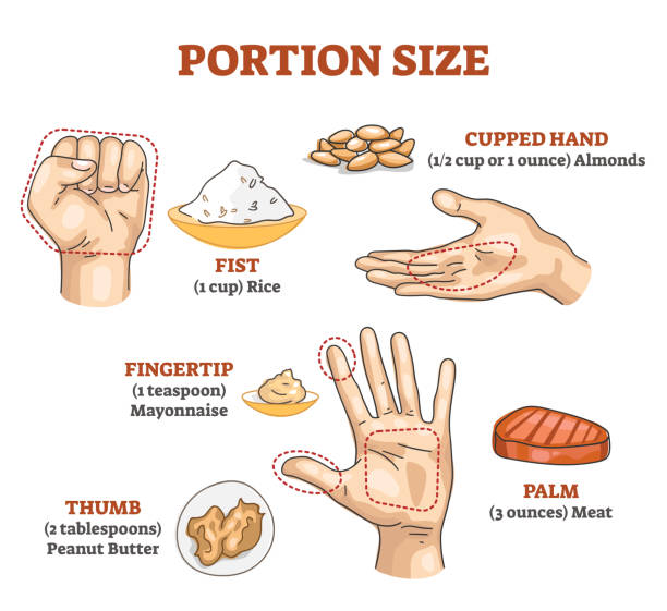 ilustrações de stock, clip art, desenhos animados e ícones de portion size measurement and calculation for healthy diet outline diagram - portion