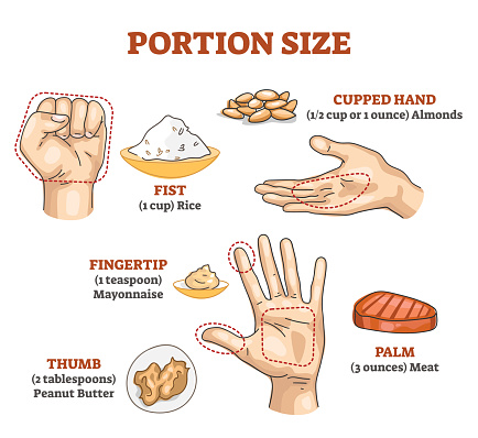 Portion size measurement and calculation for healthy diet outline diagram. Food amount eating control with hand dimension comparison vector illustration. Educational scheme with meal balance and dose.