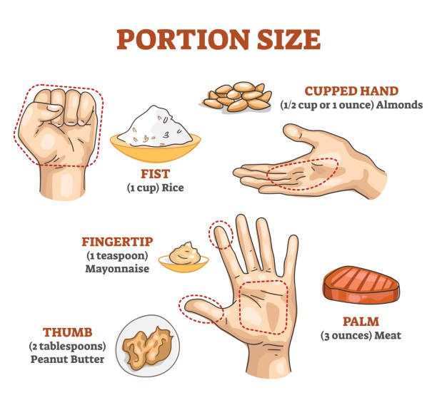 Portion size measurement and calculation for healthy diet outline diagram Portion size measurement and calculation for healthy diet outline diagram. Food amount eating control with hand dimension comparison vector illustration. Educational scheme with meal balance and dose. serving size stock illustrations