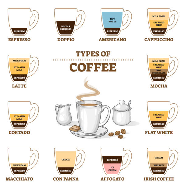 ilustrações de stock, clip art, desenhos animados e ícones de types of coffee and cafe preparation and proportion guide outline diagram - café macchiato