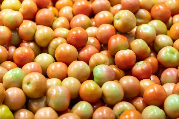 Fresh organic tomatoes, close up of tomatoes