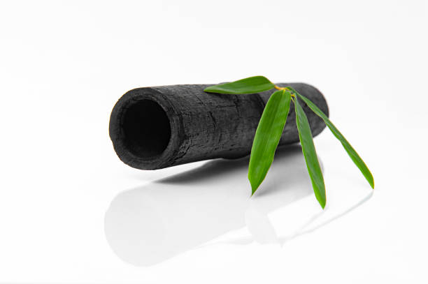 Bamboos are the fastest growing plants on earth and a daily growth could increment it size in 1 cm per day. The Bamboos are a subfamily of the grasses. Bamboos occur naturally on all continents except Europe and their altitudinal range of distribution varies from sea level to high mountain areas at heights of 3000-4000 m. The northernmost distribution is in the North of China and Japan, and Korea, while the southernmost bamboos occur in Chile. Bamboos are characterized by a large diversity in growth habit and geographic distribution. The most interesting bamboos are the woody ones because of their spectacular size. The largest bamboos in Asia grow as tall as 40 cm!.