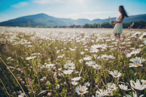 Beautiful young girl smiling over chamomile field. Carefree happy brunette woman with healthy long hair having fun outdoor in nature.