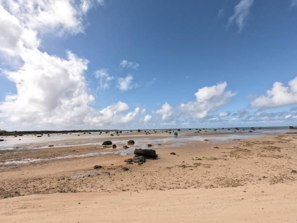 istock The view of Sawada beach 1305477817