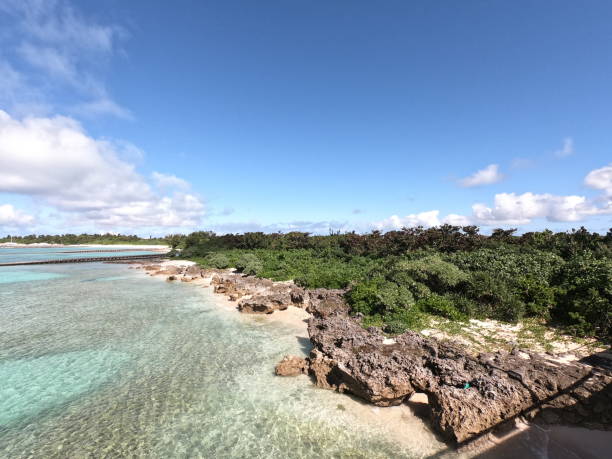 istock The ocean view from Miyako-jima island 1305478787