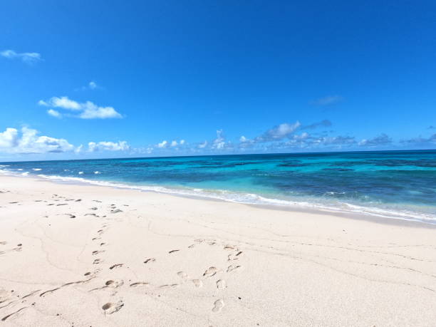 istock The beach in Kurima-jima island 1305479293