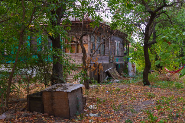 istock Old rustic ruined abandoned house surrounded by grass and trees 1305479363