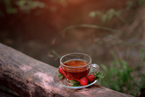 istock Fruit red tea with wild berries in glass cup, in forest, on bright background. 1305480960