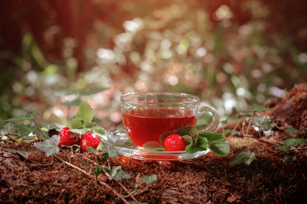 istock Fruit red tea with wild berries in glass cup, in forest, on bright background. 1305482021