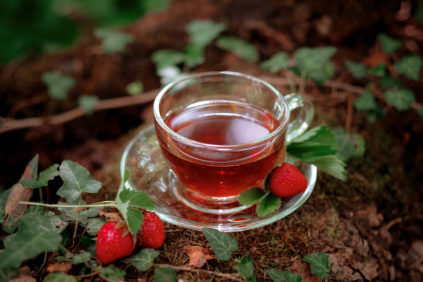 Fruit red tea with wild berries in glass cup, in forest, on bright background.