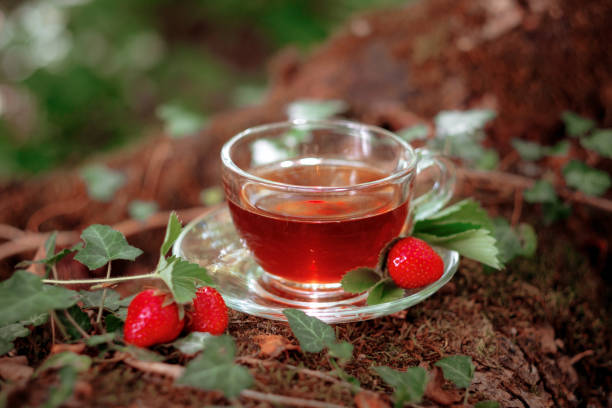 istock Fruit red tea with wild berries in glass cup, in forest, on bright background. 1305482165
