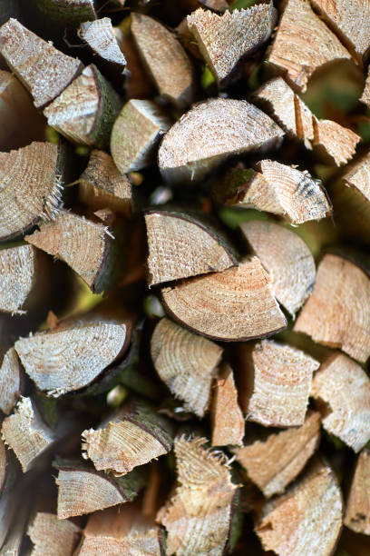 istock close up of fresh firewood in a stack outdoors 1305483607