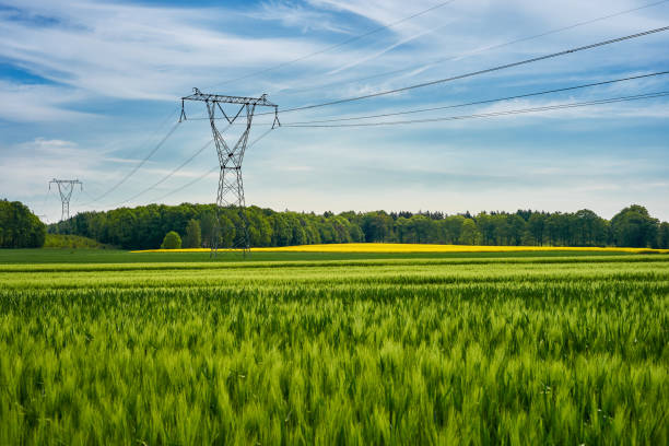 poteaux à haute tension restant dans un domaine sous un ciel bleu. champs verts juteux sur un paysage coloré de pays d’été. - grass sky cloudscape meadow photos et images de collection