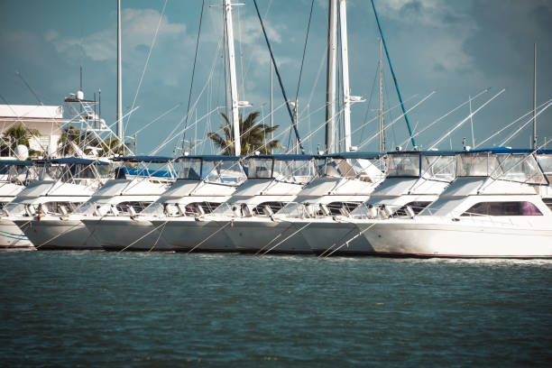 istock Beautiful White Yachts Moored In Veradero, Cuba 1305484964