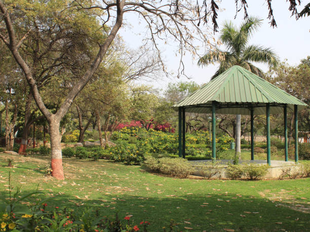 istock Bhagwan Mahavir Vanasthali, New Delhi, India 1305485004